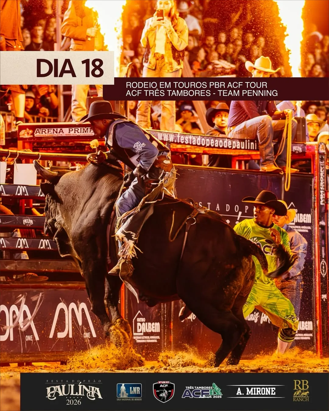 modalidades montaria em touro 3 tambores team penning festa do peao de paulinia pbr liga nacional de rodeio