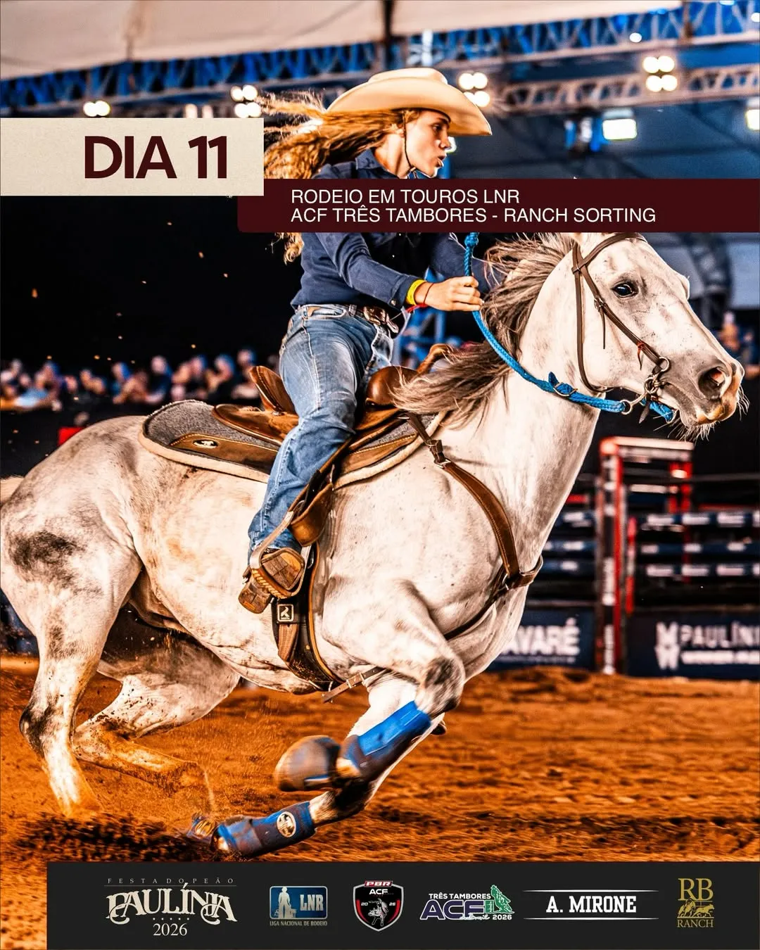modalidades montaria em touro 3 tambores team penning festa do peao de paulinia pbr liga nacional de rodeio