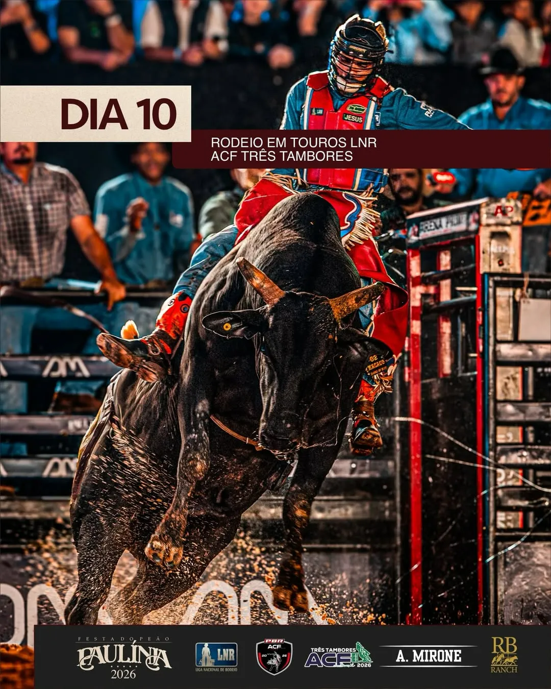 modalidades montaria em touro 3 tambores team penning festa do peao de paulinia pbr liga nacional de rodeio